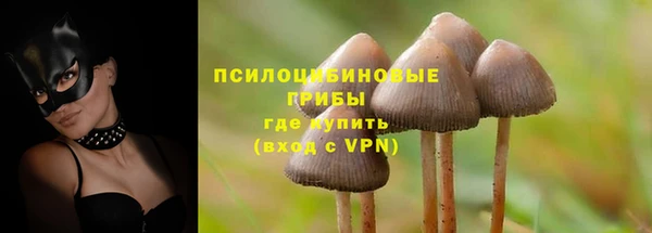 PSILOCYBIN Балабаново